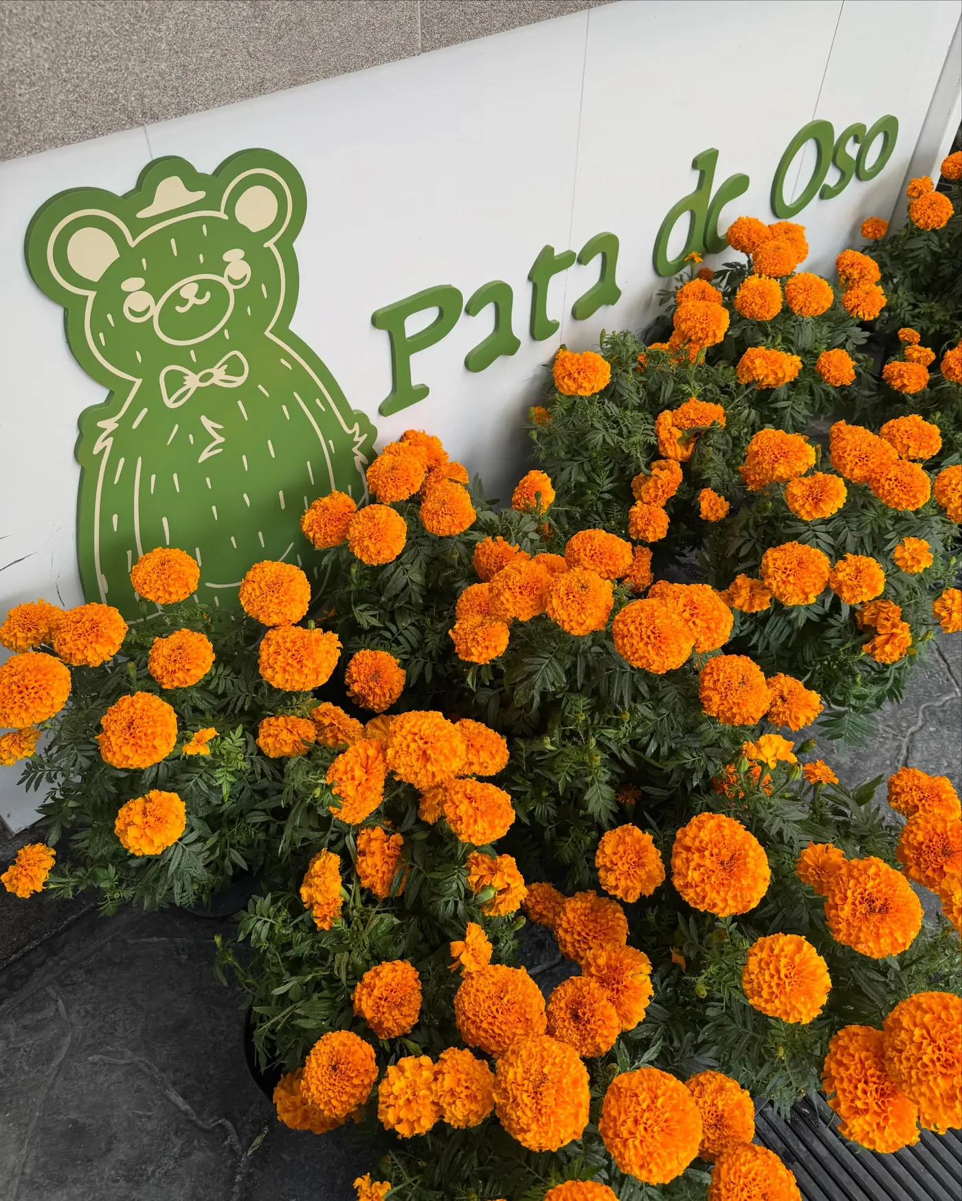 Letrero verde de Pata de Oso con el oso dibujado, rodeado de cempasúchil