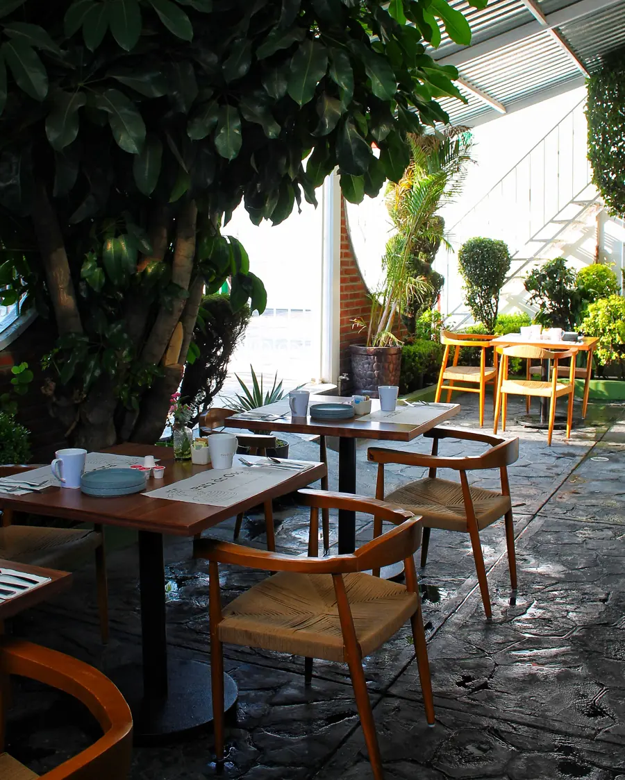 Terraza con plantas y mesas de madera